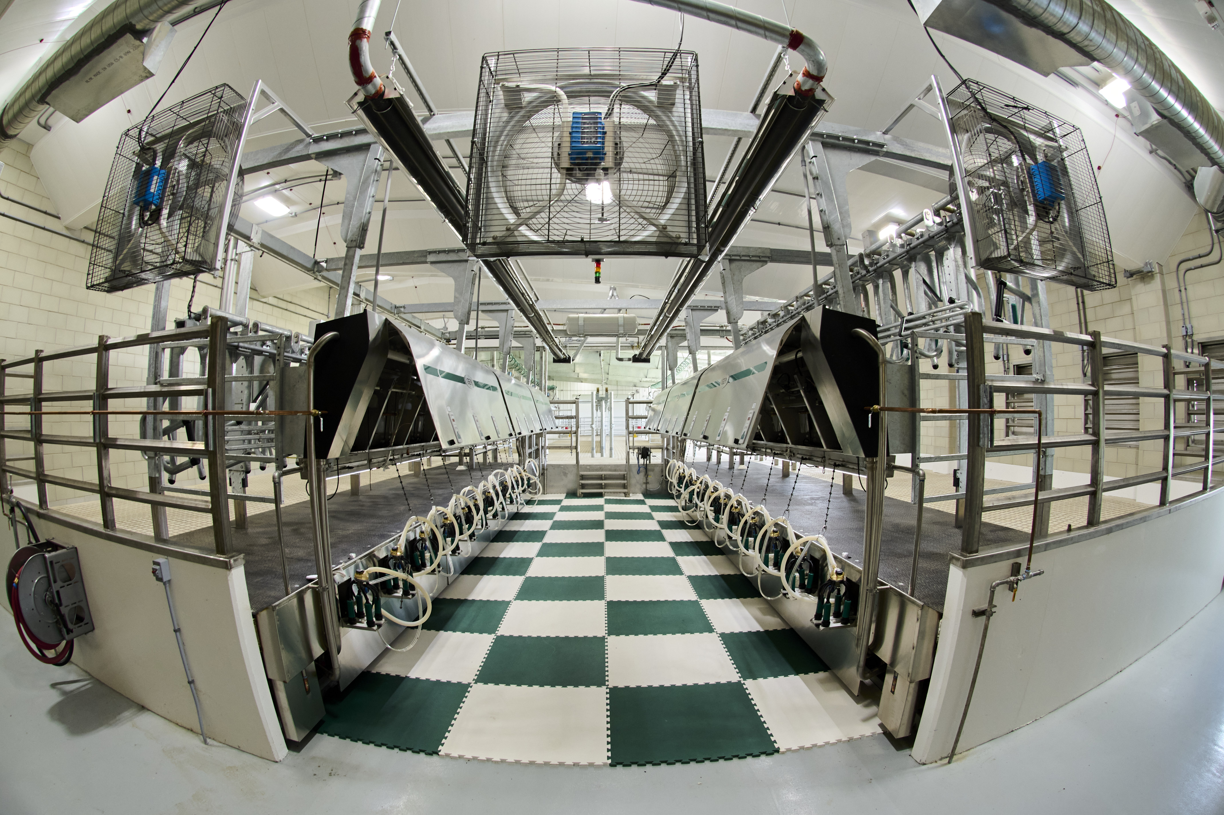 Image of the milking parlor at the MSU Dairy Cattle Teaching and Research Facility